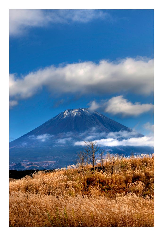 Mt.FUJI-2 [autumn]