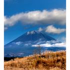 Mt.FUJI-2 [autumn]