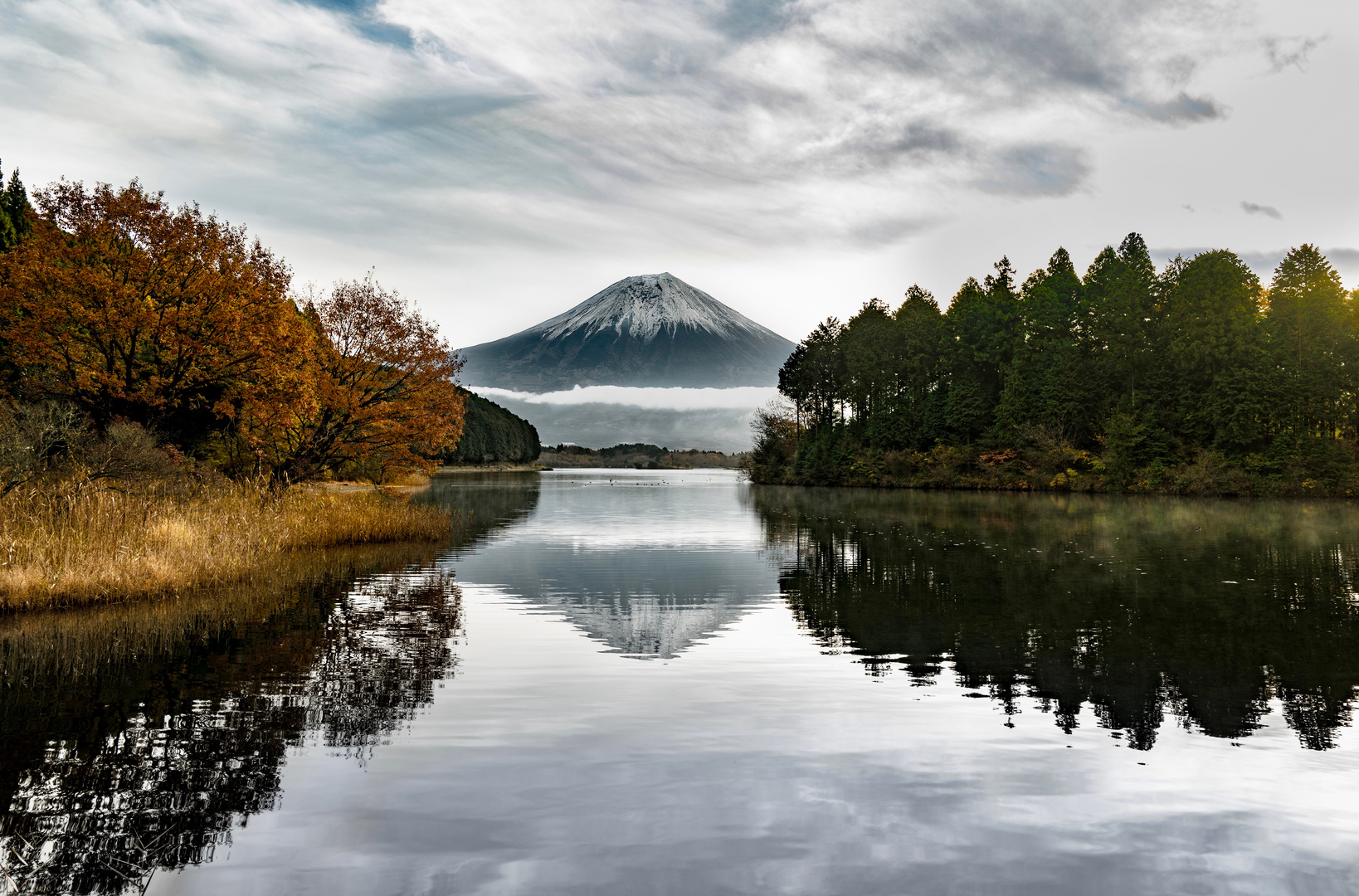 Mt.Fuji