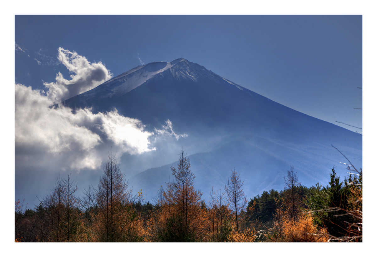 Mt.FUJI [autumn]