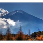 Mt.FUJI [autumn]