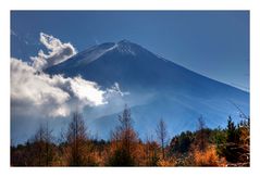 Mt.FUJI [autumn]