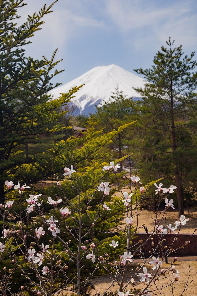 MT_Fuji