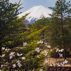 MT_Fuji