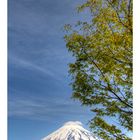 Mt.Fuji in May-3