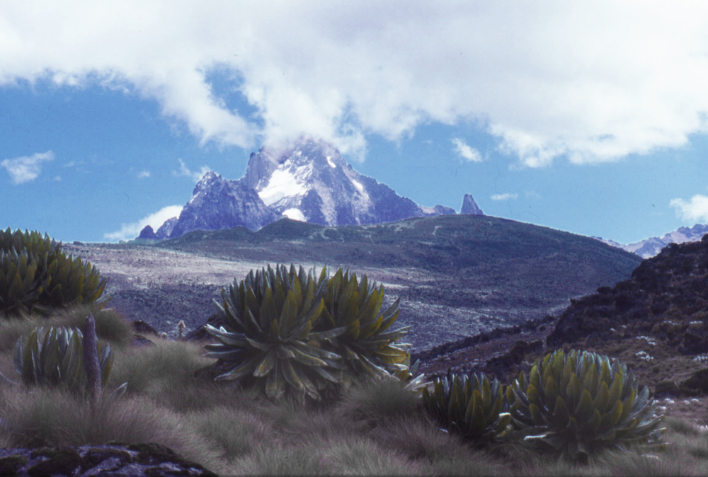 Mt.Kenya