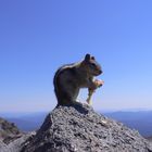 Mt.Lassen