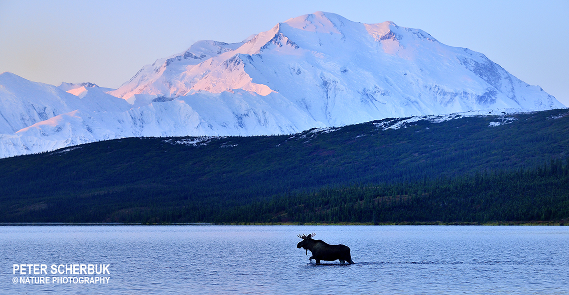 Mt.McKinley / Mt.Denali, Alaska....