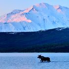 Mt.McKinley / Mt.Denali, Alaska....