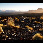 -Mt.Ngauruhoe-