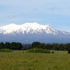 Mt.Ruapehu