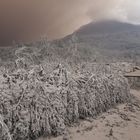 Mt.Sinabung Vulkan, Sumatra, Aschelandschaft