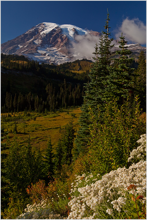 Mt.Tahoma