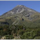 Mt.Taranaki 8.30 Uhr