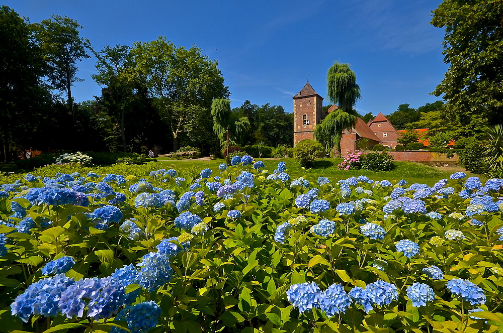 Mttwochsblümchen an der Burg Hülshoff