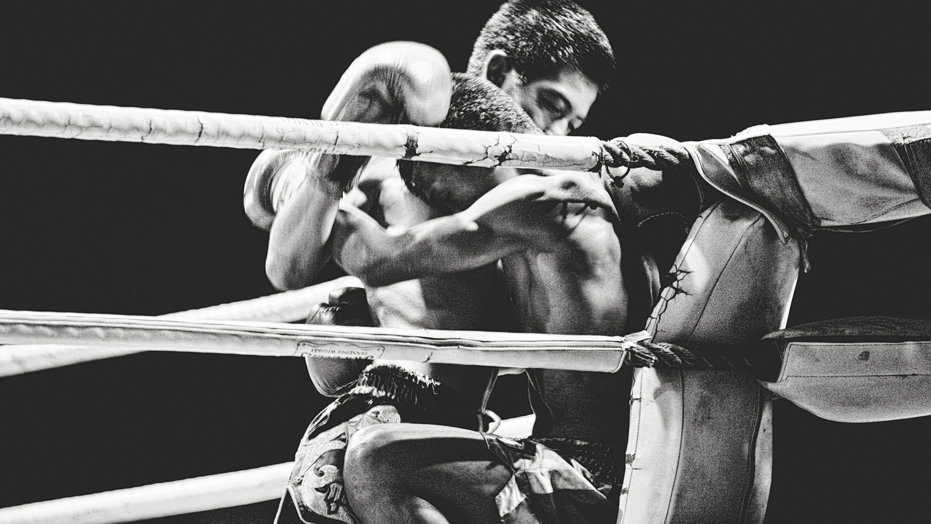 Muay Thai, Chiang Mai