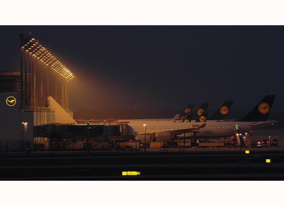 **muc by night**