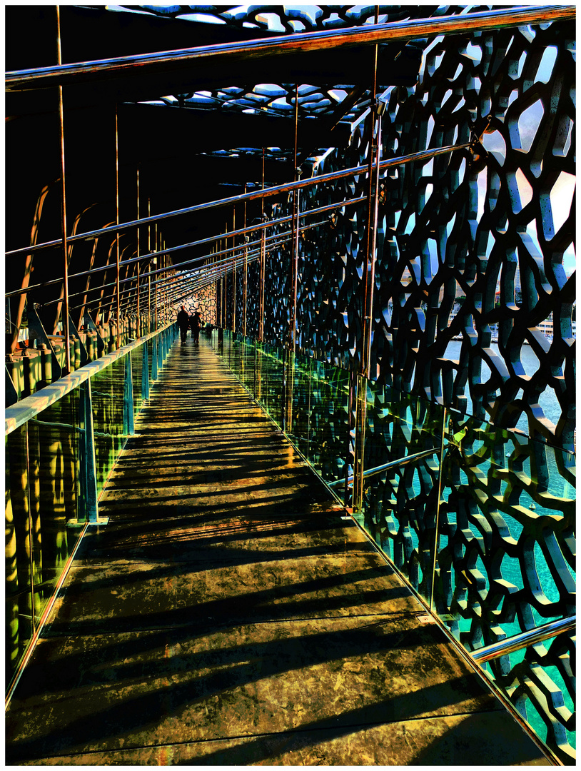 Mucem (3)