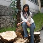 muchacha y arbol de tilo cortado