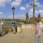 Mucke auf der Karlsbrücke, Prag