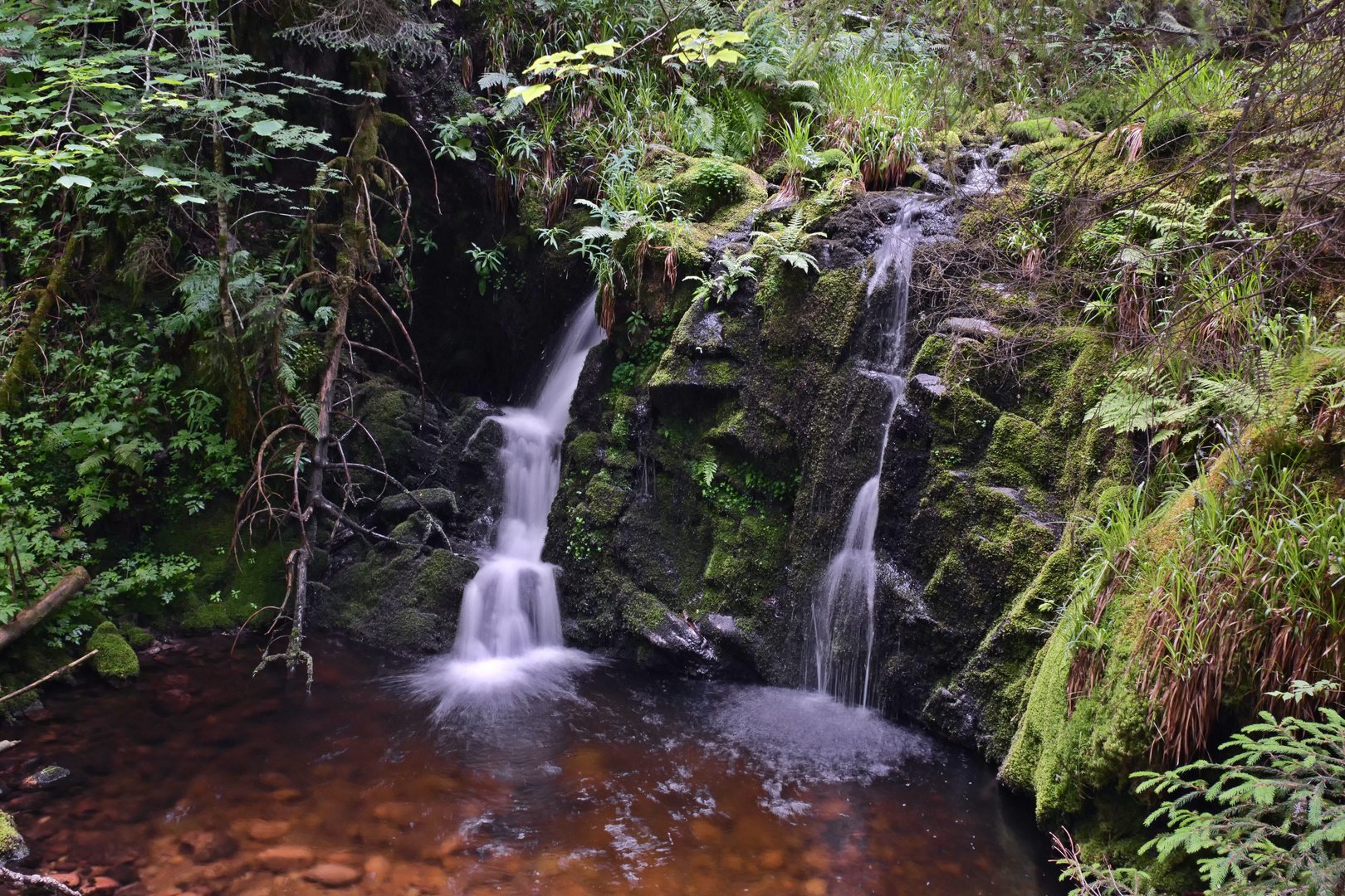 Muckenbach-Wasserfall