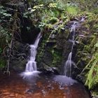 Muckenbach-Wasserfall