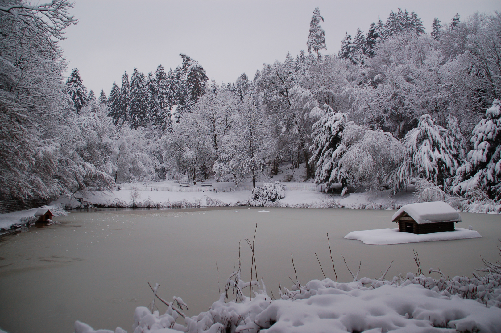 Muckensee im Schnee