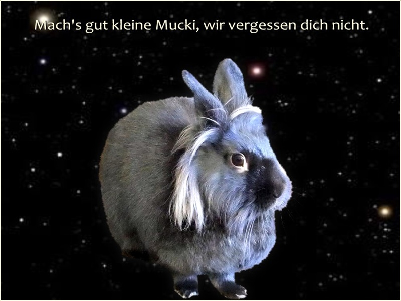 Mucki, wir vergessen dich nicht !