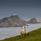 Muckle Flugga