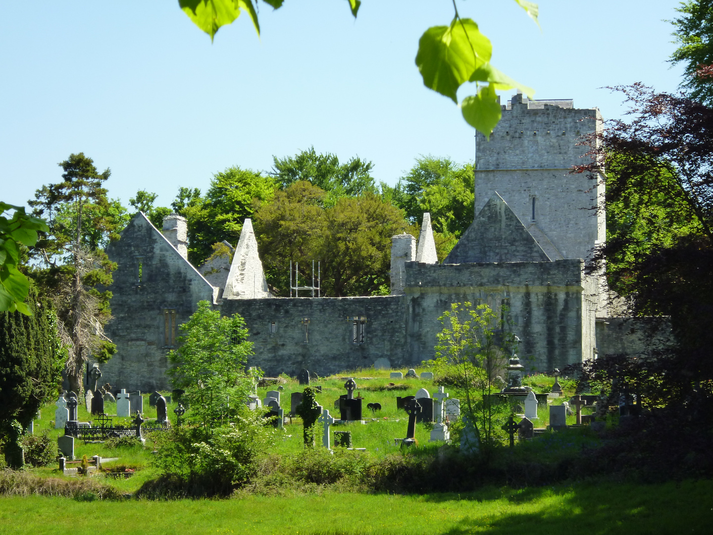 Muckross Abbey