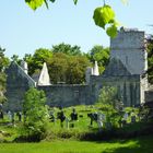 Muckross Abbey