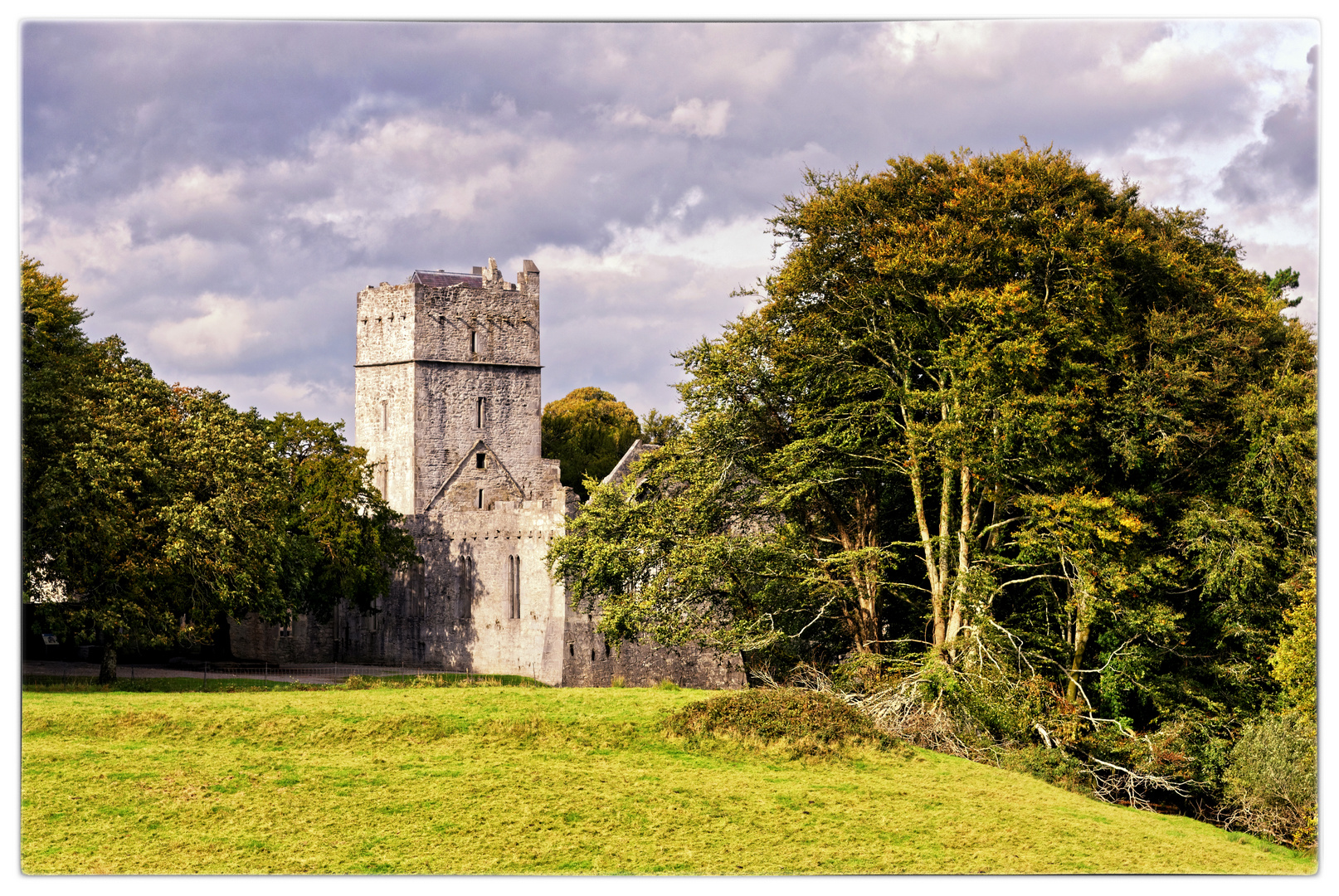 Muckross Abbey