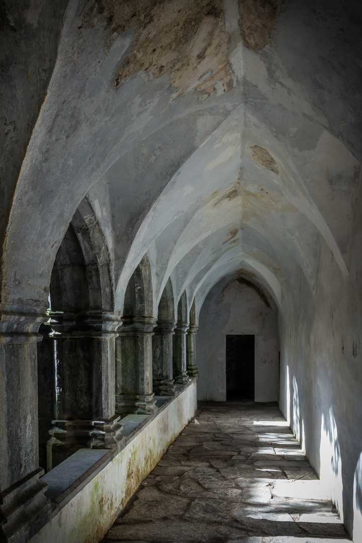 Muckross Abbey