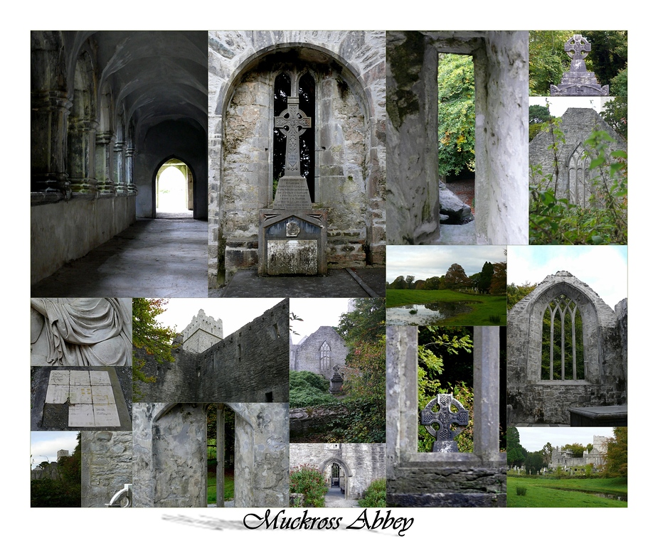 Muckross Abbey