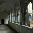 Muckross Abbey cloister - take two