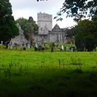 Muckross Abbey