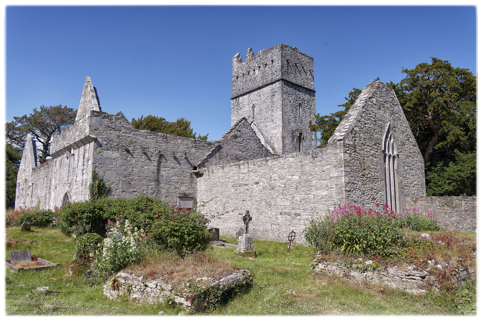 Muckross Abbey