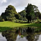 Muckross Abbey