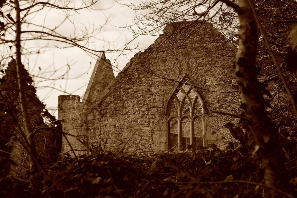 Muckross Abbey