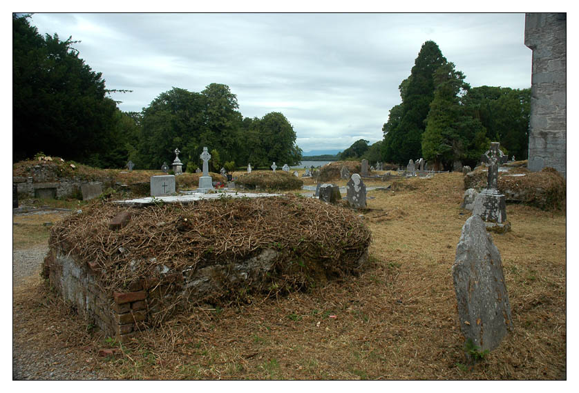 Muckross Abbey III