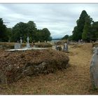 Muckross Abbey III