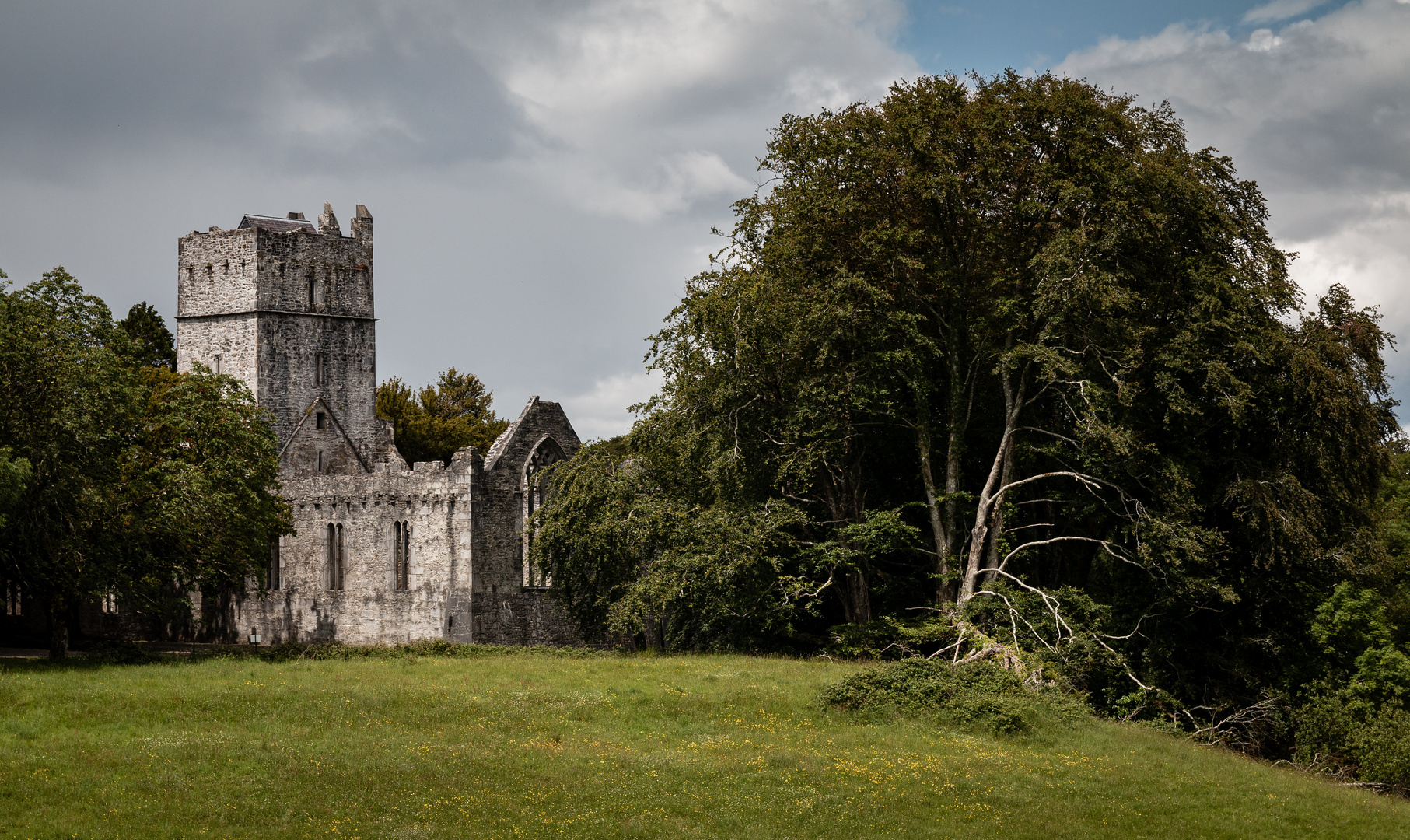 Muckross Abbey (Ireland)