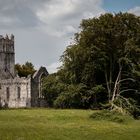 Muckross Abbey (Ireland)