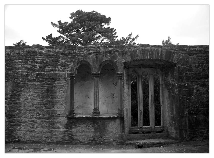 Muckross Abbey, Killarney