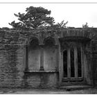 Muckross Abbey, Killarney