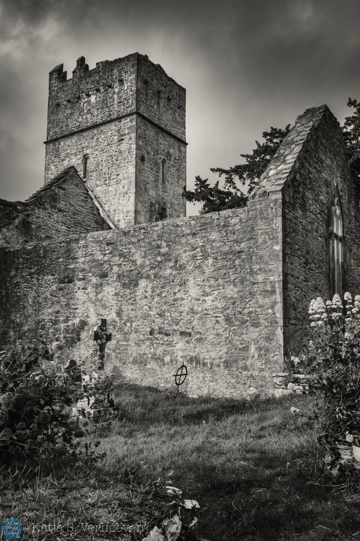 Muckross Abbey, Killarney, Ireland