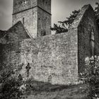 Muckross Abbey, Killarney, Ireland