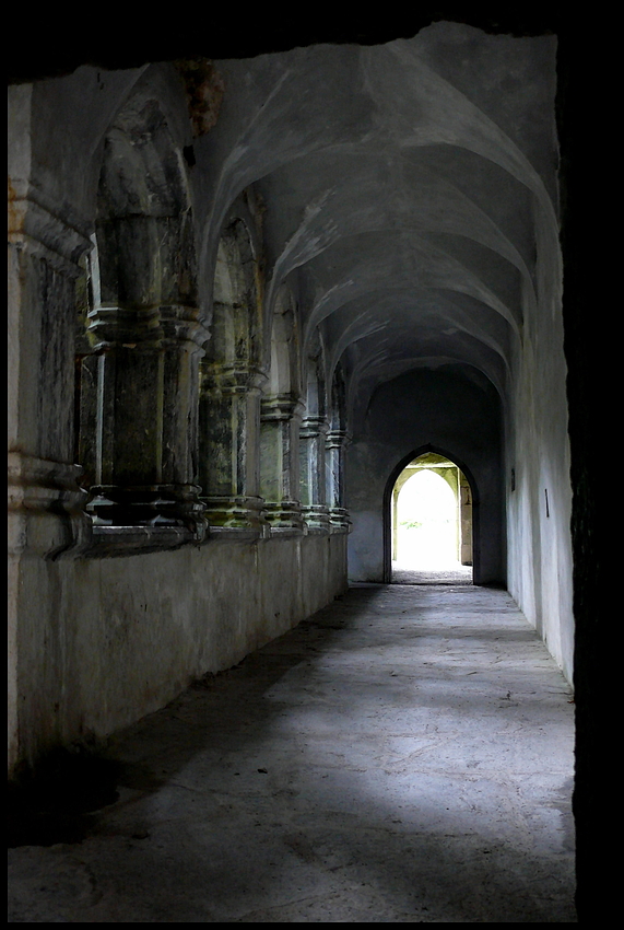 Muckross Abbey / Weg ins Licht......