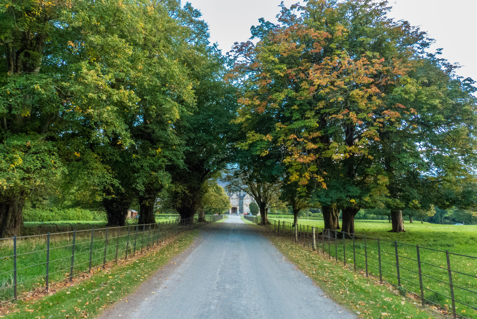 Muckross Estate