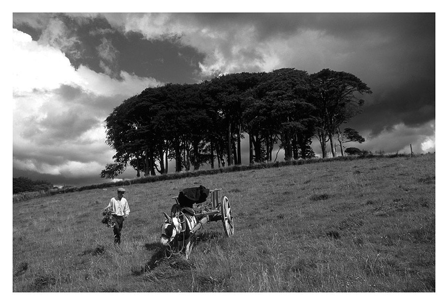 Muckross farm (black+white version)